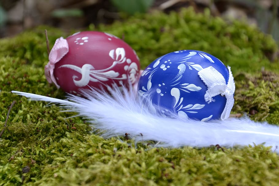 Pasqua, ous de Pasqua, pintat, colorit, color, niu de Pasqua, tema de pasqua, decoració de pasqua, decoracions de pasqua, personalitzat, bufar, de colors, primer pla, ou, molsa, fràgil, blau, vermell, blanc, ploma, verd, ou de Pasqua, celebració, herba, planta, festa, vacances - esdeveniment, enfocament selectiu, naturalesa, menjar, cap gent, decoració, esdeveniment, dia, menjar i beguda, 4K