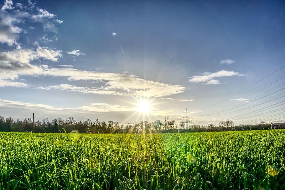 sole, retroilluminazione, stella abbagliante, cielo, nuvole, blu, verde, campo, arabile, agricoltura, natura, paesaggio, linea elettrica, tramonto, hdr, ampia gamma dinamica, contrasto, pianta, bellezza nella natura, terra, scenics - natura, scena rurale, ambiente, scena tranquilla, crescita, luce del sole, raggio di sole, nuvola - cielo, riflesso lente, la tranquillità, raccolto, colore verde, azienda agricola, nessuno, all'aperto, luminosa, piantagione, 5K