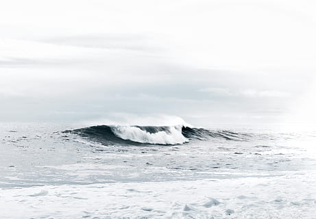 foto, onde del mare, nuvoloso, cielo, nuvole, ambiente, orizzonte, natura, oceano, scenario, panoramico, mare, acqua di mare, paesaggio marino, spruzzo, Surf, acqua, onda, nessuno, ghiaccio, movimento, temperatura fredda, scenics - natura, giorno, inverno, animali allo stato selvatico, bellezza nella natura, all'aperto, tempesta, la neve, un animale, potere in natura, 4K, CC0, dominio pubblico, privo di copyright