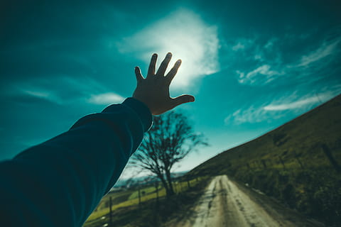 persona, raccolta, mano, in direzione, blu, cielo, giorno, nuvole, erba, macro, strada, albero, mano umana, parte del corpo umano, una persona, parte del corpo, nuvola - cielo, natura, persone reali, persona irriconoscibile, attività di svago, dito, dito umano, prospettiva personale, all'aperto, stili di vita, arto, la strada davanti, arto umano, fermare il gesto, braccio umano, 5K, CC0, dominio pubblico, privo di copyright