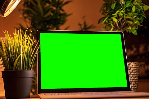 il computer portatile, computer, schermo verde, taccuino, ufficio, Internet, tecnologia, scrivania, macbook, tenere sotto controllo, influencer, icona di instagram, pc, colore verde, pianta, copia spazio, tecnologia wireless, comunicazione, natura, nessuno, schermo del computer, connessione, attività commerciale, illuminato, erba, schermo, avvicinamento, notte, cartello, vuoto, pianta della casa, vaso di fiori, 5K, CC0, dominio pubblico, privo di copyright