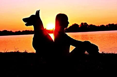 silueta, dona, pinsos doberman, assegut, esquena contra esquena, posta de sol, retroil·luminat, platja, núvols, alba, gos, nacional, tarda, amistat, noia, vora del llac, paisatge, amor, oceà, persona, mascota, pura raça, romanç, mar, paisatge marí, cel, natura morta, sol, sortida del sol, arbres, aigua, color taronja, activitat d'oci, persones reals, estils de vida, llac, bellesa a la natura, naturalesa, una persona, animals domèstics, escenics - natura, dones, un animal, a l'aire lliure, propietari d’una mascota, 4K, CC0, domini públic, lliure de regalies