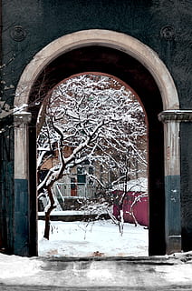 oblouk, zimní, sníh, strom, architektura, zadejte, Lvov, stavba, nikdo, den, budova, exteriér budovy, studená teplota, okno, holý strom, vchod, Příroda, venku, dveře, rostlina, architektonický sloup, strop, 4K, CC0, veřejná doména, bez autorských práv