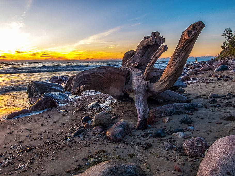 Treibholz, Strand, golden, Stunde, Dämmerung, Ozean, Felsen, Sand, Meer, seelandschaft, Sonnenaufgang, Sonnenuntergang, Land, Himmel, wolke - himmel, Natur, Rock, solide, Rock - Objekt, Schönheit in der Natur, Wasser, keine Leute, Szenen - Natur, Ruhe, ruhige Szene, Holz, Horizont über Wasser, 4K