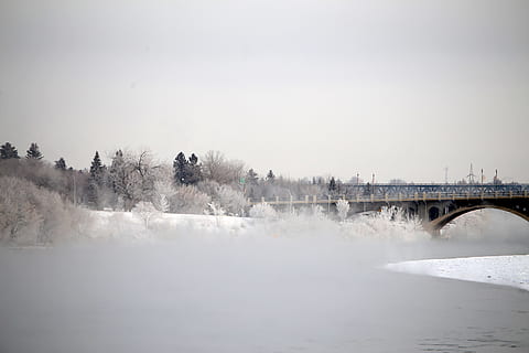 fiume saskatchewan, ponte, acqua, ponte - struttura fatta dall'uomo, connessione, cielo, struttura costruita, natura, architettura, bellezza nella natura, scenics - natura, temperatura fredda, cielo sereno, nessuno, copia spazio, giorno, albero, fiume, all'aperto, ponte ad arco, potere in natura, 5K, CC0, dominio pubblico, privo di copyright