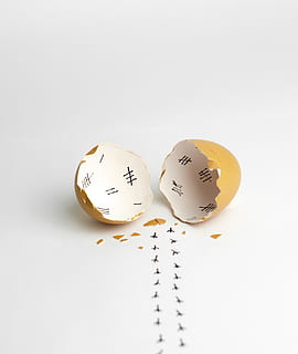 brown egg, studio shot, white background, indoors, egg, no people, food, food and drink, still life, creativity, copy space, white color, anthropomorphic smiley face, broken, representation, art and craft, two objects, shell, fragility, face, 4K, CC0, public domain, royalty free