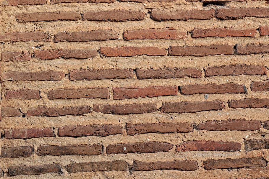 maons marrons, maó, paret, fons, fons de pantalla, molsa, planta, paret de pedra, demolició, sostre, sostre de teula, lleopard, vida salvatge, animal, jaguar, pantera, mamífer, roba, brusa, textura, marc complet, paret de maó, arquitectura, estructura construïda, funció de construcció de parets, patró, cap gent, dia, aspre, vell, marró, sòlid, a l'aire lliure, material de construcció, repetició, primer pla, concret, efecte texturat, ciment, 5K