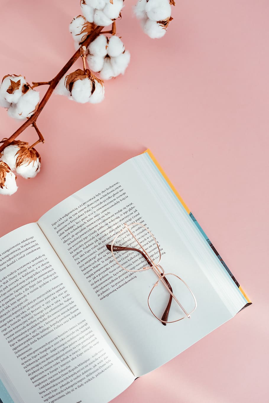 obert, llibre, rosa, fons, lectura, gots, aprenentatge, fons rosa, estudiar, femení, planta amb flors, flor, planta, publicació, natura morta, a l'interior, ulleres, paper, cap gent, taula, fragilitat, vista d’angle alt, primer pla, vulnerabilitat, naturalesa, comunicació, frescor, 5K