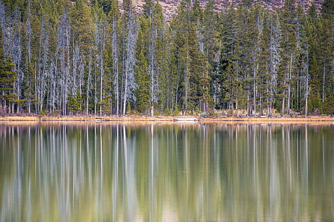 Kiefernwald, See, Umgebung, Wald, Landschaft, Reflexion, szenisch, Jahreszeit, Bäume, Wasser, Baum, Ruhe, Pflanze, Schönheit in der Natur, Szenen - Natur, ruhige Szene, Land, Natur, Ufergegend, keine Leute, Nicht-städtische Szene, Tag, grüne Farbe, Kiefer, draußen, Nadelbaum, Reflexionssee, 4K, CC0, gemeinfrei, lizenzfrei