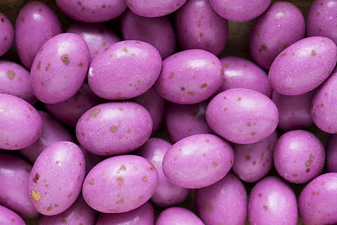 nærbilde fotografering, lilla, egg, 4k bakgrunnsbilde, nærbilde, eggeskall, mat, fersk, bunke, shell, toppvisning, spise sunt, full ramme, stor gruppe gjenstander, mat og Drikke, velvære, bakgrunn, friskhet, frukt, overflod, ingen folk, rosa farge, marked, rett over, detaljhandel, gjentakelse, dag, grønnsak, stilleben, 4K, CC0, offentlig domene, opphavsrett gratis