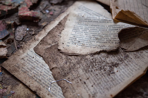 foglia, pianta, testo, suolo, libro, chernobyl, vecchio, carta, terra, mattone, biancheria, Home decor, pietra da lastrico, pagina, archeologia, capi di abbigliamento, abbigliamento, spartito, scorrere, ardesia, avvicinamento, religione, nessuno, comunicazione, credenza, messa a fuoco selettiva, sceneggiatura occidentale, emozione, spiritualità, tomba, lapide, vista dall'alto, pubblicazione, cimitero, storia, 5K, CC0, dominio pubblico, privo di copyright