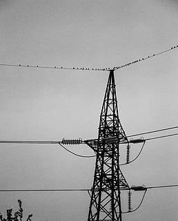 nuvarande, elkabel, elektricitet, kabel-, himmel, kraftledning, förbindelse, teknologi, elpylon, strömförsörjning, lågvinkelvy, inget folk, bränsle och kraftproduktion, metall, natur, dag, kommunikation, klar himmel, silhuett, utomhus, byggd struktur, arkitektur, elektrisk utrustning, flock av fåglar, 4K, CC0, offentligt domän, royaltyfria