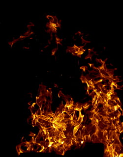 abstrakt, Hintergrund, wunderschönen, lodern, lodernd, brennen, Nahansicht, explodieren, Explosion, Feuer, Flamme, Hitze, heiß, Verbrennung, Feuer - natürliches Phänomen, Hitze - Temperatur, orange Farbe, Nacht-, Bewegung, glühend, keine Leute, Gelb, schwarzer Hintergrund, Natur, Bewegungsunschärfe, Langzeitbelichtung, Zeichen, Warnschild, Kommunikation, Inferno, Lagerfeuer, 1080P, CC0, gemeinfrei, lizenzfrei