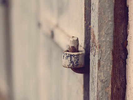 gray concrete wall, rust, machine, door, wood, old, texture, indoors, bracket, lock, sink, screw, hydrant, vise, drive shaft, plumbing, corner, bronze, brick, appliance, washer, rusty, close-up, metal, no people, day, selective focus, weathered, wood - material, outdoors, bolt, run-down, decline, focus on foreground, deterioration, damaged, architecture, abandoned, bad condition, built structure, nail, 4K, CC0, public domain, royalty free