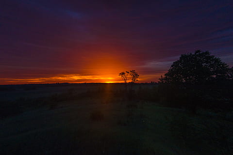 Silhouette Fotografie, Wald, golden, Stunde, hinterleuchtet, Strand, Wolken, Dunkelheit, Dämmerung, Abend, Feld, Gras, Wiese, Landschaft, draußen, Pflanzen, silhouettiert, Silhouetten, Sonnenuntergang, Bäume, Himmel, wolke - himmel, Szenen - Natur, Pflanze, Baum, Schönheit in der Natur, keine Leute, Ruhe, ruhige Szene, Umgebung, Silhouette, Natur, Dramatischer Himmel, Nicht-städtische Szene, orange Farbe, Land, idyllisch, 5K, CC0, gemeinfrei, lizenzfrei