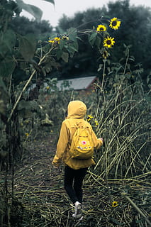Person, Gehen, Garten, erkunden, Sonnenblume, Fremde Dinge, Gelb, Kind, Feld, Blume, Rucksack, Kapuzenpullover, Mädchen, Abenteuer, draussen, jung, Reise, launisch bearbeiten, launische Fotografie, draußen, Natur, Wandern, Menschen, gesunder Lebensstil, Sport, eine Person, Joggen, Laufen, Aktion, Lebensstile, Fußweg, ausüben, Aktivität, Herbst, Wald, Frauen, Rückansicht, Erkundung, Gras, ländliche Szene, Männer, Erwachsene, Frau, Sportbekleidung, Freizeitbeschäftigung, Berg, 5K, CC0, gemeinfrei, lizenzfrei