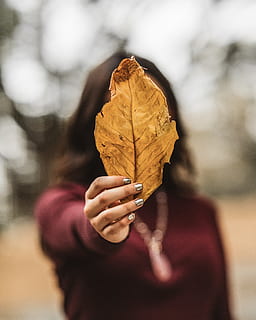 woman, holding, dry, leaf, macro, human hand, one person, hand, plant part, focus on foreground, human body part, close-up, day, real people, autumn, unrecognizable person, change, body part, leisure activity, leaf vein, outdoors, obscured face, finger, leaves, 4K, CC0, public domain, royalty free