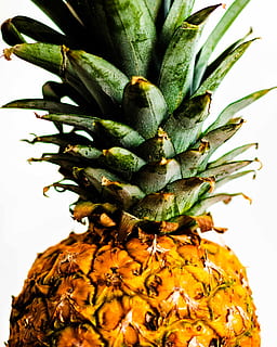 Ananasfrucht, Ananas, Nahansicht, grüne Farbe, Pflanze, Wachstum, Tropische Frucht, Natur, keine Leute, Schönheit in der Natur, drinnen, weißer Hintergrund, Frische, Essen und Trinken, Lebensmittel, gesundes Essen, Studioaufnahme, Obst, Wohlbefinden, Pflanzenteil, Blume, 2K, CC0, gemeinfrei, lizenzfrei