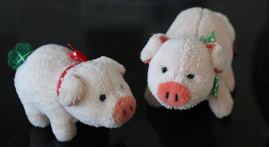 porc, poc, farcit, objecte, fig, figura, suau, joguina, joguina de peluix, representació, representació animal, osset de peluix, primer pla, a l'interior, festa, cap gent, animal, celebració, mamífer, natura morta, fons negre, centrar-se en primer pla, art i artesania, temes d'animals, bonic, suavitat, 1080P