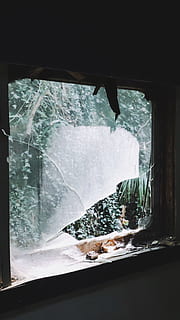 Quadrat, grau, Metall, gerahmt, gebrochen, Glasfenster, Fenster, Glas, Efeu, dunkel, zerbrechen, Riss, geknackt, auseinander fallen, Ast, alt, schmutzig, verlassene Hütte, verfallen, zerbrochenes Fenster, Windschutzscheibe, Glas - Material, Auto, Wetter, Winter, Wasser, Blick durchs Fenster, gefroren, kalte Temperatur, Eis, nass, Regen, Schnee, Frost, Natur, Nahansicht, Regentropfen, Menschen, Scheibenwischer, Waschen, 2K, CC0, gemeinfrei, lizenzfrei