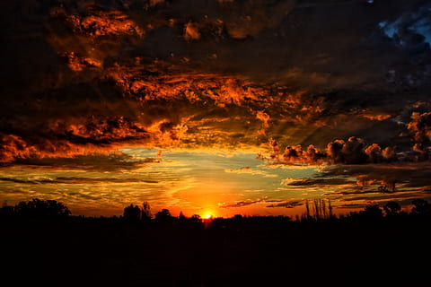 siluetă, copaci, noros, cer, apus de soare, iluminare din spate, cu iluminare din spate, nori, colorate, întuneric, zori de zi, adancimea terenului, dramatic, seară, peisaj, ușoară, natură, portocaliu cer, pitoresc, vară, soare, apă, vreme, nor - cer, culoare portocalie, frumusețe în natură, scenice - natura, o scenă liniștită, liniște, nici o persoana, dramatic cer, idilic, mediu inconjurator, în aer liber, scenă non-urbană, maiestuos, acoperit de nori, copac, de rău augur, 5K, CC0, domeniu public, fără drepturi de autor