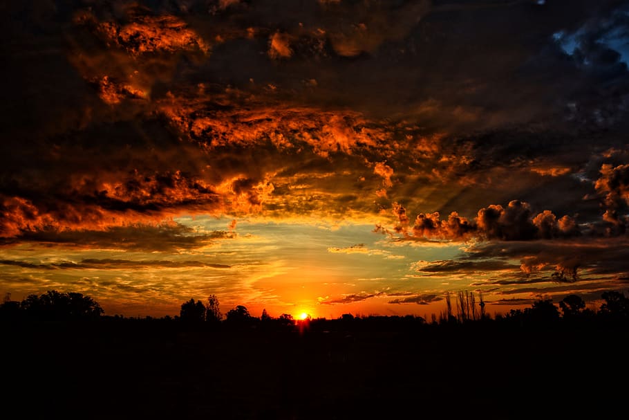 siluetă, copaci, noros, cer, apus de soare, iluminare din spate, cu iluminare din spate, nori, colorate, întuneric, zori de zi, adancimea terenului, dramatic, seară, peisaj, ușoară, natură, portocaliu cer, pitoresc, vară, soare, apă, vreme, nor - cer, culoare portocalie, frumusețe în natură, scenice - natura, o scenă liniștită, liniște, nici o persoana, dramatic cer, idilic, mediu inconjurator, în aer liber, scenă non-urbană, maiestuos, acoperit de nori, copac, de rău augur, 5K