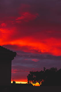 foto siluet, pohon, keemasan, jam, awan, gelap, Fajar, dramatis, jam emas, langit, matahari terbenam, awan - langit, Arsitektur, warna oranye, struktur yang dibangun, bayangan hitam, eksterior bangunan, alam, tidak ada orang, menanam, bangunan, keindahan di alam, scenics - alam, di luar rumah, langit yang dramatis, ketenangan, adegan yang tenang, sejarah, 5K, CC0, domain publik, bebas royalti