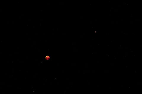 Eclipse lunar, lua, noite, África do Sul, cidade do Cabo, espaço, céu, astronomia, universo, espaço sideral, ao ar livre, vermelho, Sombrio, fundo preto, laranja, planeta, sangue, astro, marte, estrelas, eclipse, copie o espaço, ninguém, beleza na natureza, natureza, visão de baixo ângulo, tranquilidade, scenics - natureza, balão, cena tranquila, idílico, forma, amor, tiro do estúdio, 5K, CC0, domínio público, royalty free