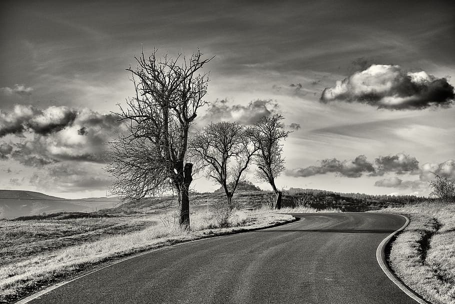 arbre, paisatge, Camí, carretera, cel, arbre sec, naturalesa, arbre de silueta, turisme, blanc i negre, núvol - cel, transport, el camí a seguir, direcció, medi ambient, planta, arbre nu, bellesa a la natura, escenics - natura, tranquil·litat, cap gent, escena tranquil·la, escena no urbana, terra, escena rural, a l'aire lliure, 5K