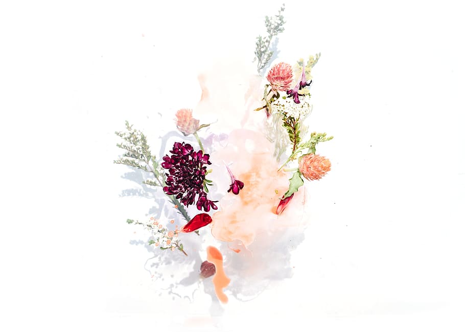 bouquet, assortit, vector de flors, gràfic, full, tija, simple, flora, aquarel·la, pintura, blanc, aigua, arranjament, fons, bellesa, fons de pantalla, porpra, rosa, naturalesa, flor, floral, ombra, brillant, planta, vermell, pètal, decoració, frescor, primer pla, cap de flor, aïllat, estiu, branca, color rosa, botànica, 5K