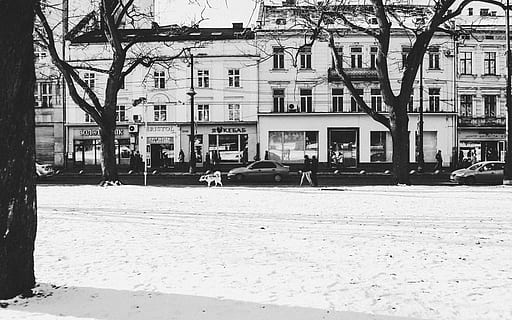 struttura, costruzione, architettura, formazione, femmina, maschio, vento, i fiocchi di neve, vecchio, antico, il più vecchio, più vecchio, Sambuco, Casa, edificio, tessuto, stadio, esterno dell'edificio, struttura costruita, città, modo di trasporto, albero, mezzi di trasporto, quartiere residenziale, strada, giorno, natura, veicolo terrestre, auto, persone accessorie, veicolo a motore, inverno, la neve, pianta, vita di città, all'aperto, 5K, CC0, dominio pubblico, privo di copyright