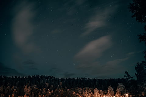 fotografie, noční obloha, strom, nebe, hvězda, scéna s oblaky, les, dlouhé expozice, venku, krajina, horizont, noc, mléčná dráha, galaxie, mrak, dřevo, astronomie, hvězda - prostor, Příroda, souhvězdí, mlhovina, prostor, temný, modrý, scén, hora, hvězdné pole, krása v přírodě, planeta - prostor, světlo - přírodní jev, zimní, houston astros, Věda, soumrak, nikdo, sníh, pozadí, astrologie, měsíc, tvar hvězdy, 8K, CC0, veřejná doména, bez autorských práv