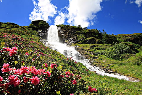 cascata, alpino, natureza, montanhas, agua, águas, corrente, beleza na natureza, plantar, scenics - natureza, árvore, crescimento, céu, movimento, planta com flores, flor, ninguém, terra, cor verde, Exposição longa, nuvem - céu, dia, visão de baixo ângulo, água corrente, ao ar livre, poder na natureza, fluindo, 4K, CC0, domínio público, royalty free
