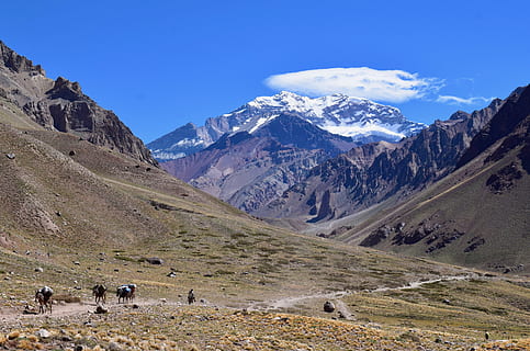 grønne bjerge, natur, udendørs, bjerg, bjergkæde, kvæg, dyr, pattedyr, ko, hældning, plateau, spids, fugl, vej, grus, grusvej, landskab, person, human, Aconcagua, vandretur, miljø, sne, scenics - natur, skønhed i naturen, vandring, kold temperatur, himmel, vinter, aktivitet, rejse, fritidsaktivitet, jord, eventyr, rolig scene, ikke-urbane scene, snedækket bjerg, bjergtop, 5K, CC0, offentligt domæne, royaltyfrie