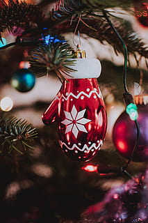 roșu mănușă, ornament, copac, plantă, Brad de Crăciun, brad, abies, uman, persoană, iluminat, molid, conifer, pin, decoratiune interioara, lenjerie, accesorii, şirag de mărgele, colier cu bile, Bijuterii, luciu, vacanţă, Crăciun, decor, celebrare, glob de Craciun, Crăciun ornament, agăţat, roșu, a închide, să se concentreze asupra primelor elemente, în interior, eveniment de vacanță, nici o persoana, eveniment, excursie, vacante, 5K, CC0, domeniu public, fără drepturi de autor