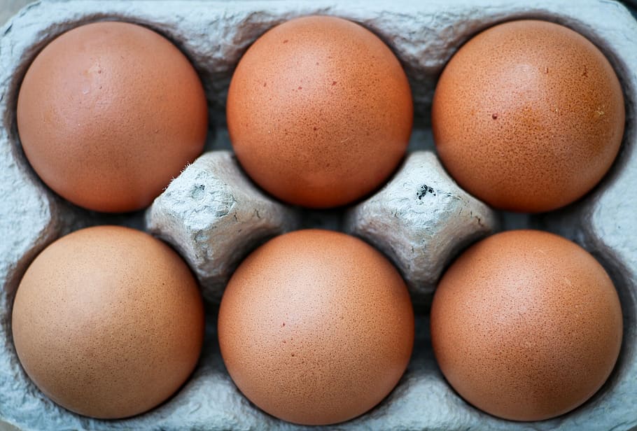 ous, sis, Caixa, marró, exposat, ou, menjar, menjar i beguda, alimentació saludable, benestar, frescor, en fila, cartró d'ous, cap gent, aliments crus, primer pla, gran grup d'objectes, vulnerabilitat, a l'interior, fragilitat, ous d’animals, grup d'objectes, ordre, Caixa de cartró, 2K