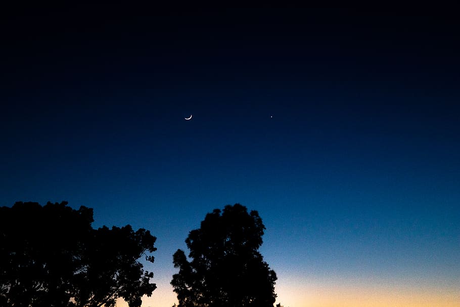 lua, arvores, noite, contraste, natureza, céu, estrelas, árvore, beleza na natureza, scenics - natureza, plantar, silhueta, tranquilidade, ninguém, cena tranquila, visão de baixo ângulo, espaço, crescente, azul, astronomia, estrela - espaço, ao ar livre, céu limpo, 5K