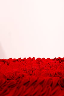 textil rojo, de cerca, colores, diseño, tela, patrones, rojo, textura, trapos, Fondo blanco, foto de estudio, textil, nadie, copia espacio, adentro, modelo, antecedentes, enfoque selectivo, frescura, resumen, material, separar, evento, texturizado, belleza en la naturaleza, planta, pintar, patrón floral, 5K, CC0, dominio público, libre de derechos