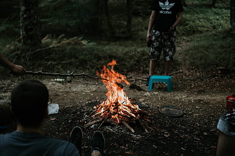 mand, sidder, bål, grill, miljø, ild, firewoods, flamme, mad, venner, græs, herrer, mennesker, tre, brænding, brand - naturligt fænomen, rigtige mennesker, varme - temperatur, livsstil, fritidsaktivitet, jord, Camping, lejrbål, natur, udendørs, dag, Skov, lavt afsnit, to personer, forberedelse, forbereder mad, 5K, CC0, offentligt domæne, royaltyfrie