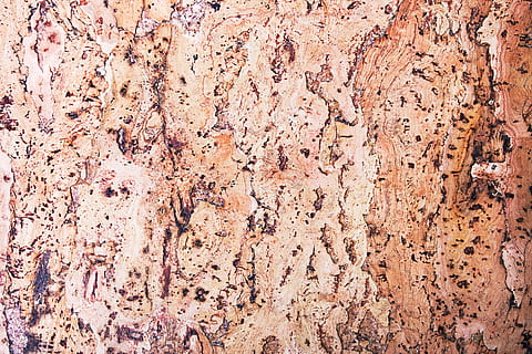 con2011, Hintergrund, Vollbild, Hintergründe, texturiert, keine Leute, Nahansicht, Rau, verwittert, Muster, Wandbau - Funktion, Tag, braun, alt, gebaute Struktur, draußen, Holz - Material, beschädigt, die Architektur, Natur, abstrakt, Baum, erodiert, 4K, CC0, gemeinfrei, lizenzfrei