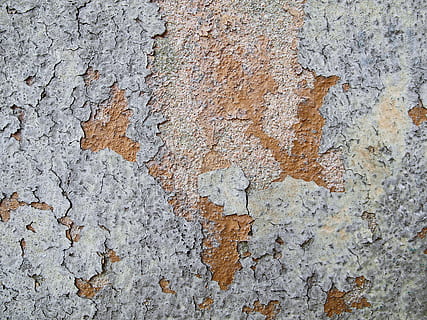 roccia, ruggine, tappeto, struttura, ardesia, calcestruzzo, asfalto, parete, acciaio, alghe, pianta, diagramma, carta geografica, macchia, muffa, granito, terra, catrame, invertebrato, strutturato, fotogramma intero, sfondi, caratteristica della parete, ruvido, intemperie, nessuno, architettura, struttura costruita, vecchio, giorno, cattiva condizione, corri giù, deterioramento, danneggiato, modello, declino, avvicinamento, sbucciare, all'aperto, rovinato, 2K, CC0, dominio pubblico, privo di copyright