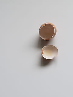 brun, eggskjell, hvit, flate, egg, eggeskall, tømme, mat, kjøkken, shell, hvit bakgrunn, studio skudd, innendørs, mat og Drikke, stilleben, ingen folk, friskhet, kopiere plass, nærbilde, rett over, velvære, gått i stykker, skjære ut, spise sunt, rå mat, eggeplomme, 4K, CC0, offentlig domene, opphavsrett gratis
