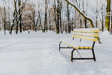 wintery park, white, clean, outdoor, trees, park, winter, cold, snow, snowy, cold temperature, tree, seat, nature, plant, bench, tranquility, land, absence, empty, field, no people, beauty in nature, day, covering, white color, frozen, park bench, outdoors, snowcapped mountain, snowing, 5K