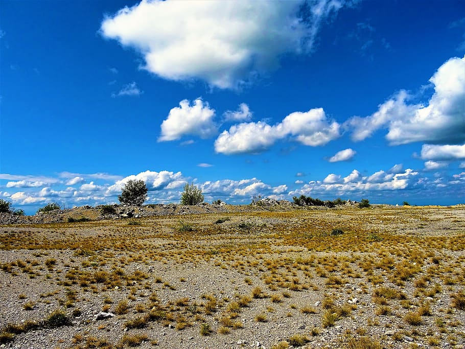 núvols blancs, àrid, núvol, la llum del dia, desert, sec, herba, horitzó, calenta, paisatge, naturalesa, sorra, escènic, cel, sòl, estiu, terreny erm, núvol - cel, escenics - natura, medi ambient, escena tranquil·la, bellesa a la natura, tranquil·litat, terra, escena no urbana, dia, planta, cap gent, camp, blau, remot, arbre, idíl·lic, a l'aire lliure, semiàrid, clima àrid, 5K