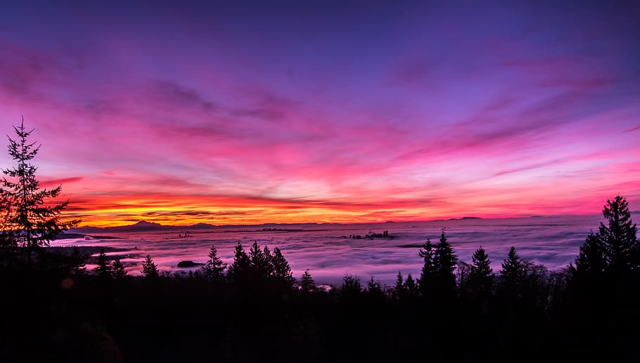 foto de la silueta, bosc, retroil·luminat, brillant, ciutat, núvols, color, alba, tarda, fons de pantalla hd, tret d'angle alt, paisatge, llum, cel, sol, sortida del sol, posta de sol, Vancouver, bellesa a la natura, escenics - natura, núvol - cel, tranquil·litat, escena tranquil·la, aigua, arbre, silueta, idíl·lic, naturalesa, planta, color taronja, cel dramàtic, cap gent, escena no urbana, porpra, color rosa, a l'aire lliure, cel romàntic, 4K
