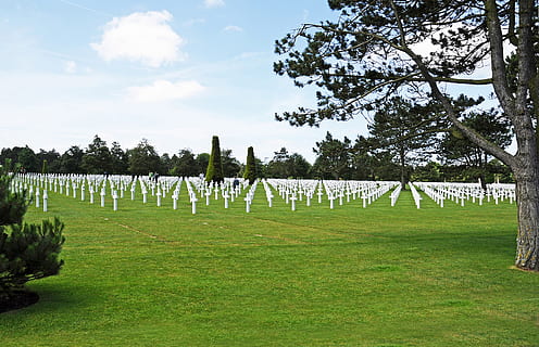 parco commemorativo, erba, pianta, prato, Francia, cimitero militare americano. Normandia., terra, campo, simbolo, tomba, lapide, albero, parco, all'aperto, pagina, testo, attraversare, prateria, marchio, logo, funerale, colore verde, cielo, natura, giorno, di fila, nessuno, nuvola - cielo, cimitero, crescita, paesaggio, memoriale, la tranquillità, 4K, CC0, dominio pubblico, privo di copyright