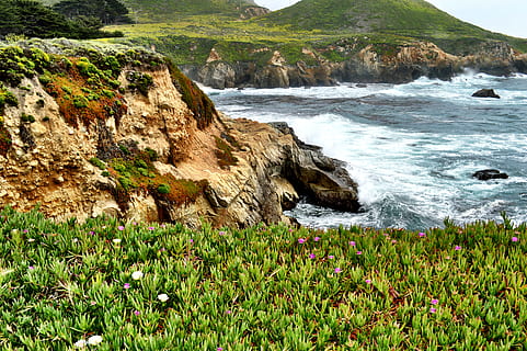 gespa verda, promontori, naturalesa, a l'aire lliure, penya-segat, oceà, aigua, mar, Estats Units, carmel, Califòrnia, rock, planta, desert, línia de costa, Costa, herba, onades del mar, cala, cova, flor, bellesa a la natura, terra, escenics - natura, sòlid, rock - object, dia, platja, moviment, cap gent, color verd, creixement, tranquil·litat, escena tranquil·la, formació de roca, aigua que flueix, litoral rocós, 5K, CC0, domini públic, lliure de regalies