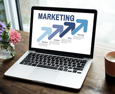 une analyse, affaires, ordinateur, lien, espace de copie, dispositif, numérique, maison, boisson chaude, important, l'Internet, clavier, portable, mode de vie, la gestion, commercialisation, réseau, carnet, objets, Bureau, écran, des médias sociaux, réseau social, La technologie, sans fil, patte en bois, table, la communication, Technologie sans fil, texte, meubles, personne, plante à fleurs, écriture occidentale, fleur, dispositif d'information portable, bois - matériau, plante, à l'intérieur, la nature, 4K, CC0, domaine public, libre de droits