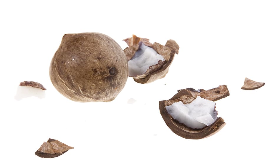 coco, cocos, cocoz, blanc, fruita, fons, fusta, primer pla, aïllat, vegetarià, pelut, natural, diversió, deliciós, tropical, dieta, marró, full, subtropical, objecte, saborós, saludable, vitamina, planta, tròpic, menjar, nou, fons blanc, menjar i beguda, tir de l'estudi, a l'interior, natura morta, frescor, alimentació saludable, cap gent, tallar, benestar, còpia espai, trencat, Color blanc, aliments crus, noguera, 720P