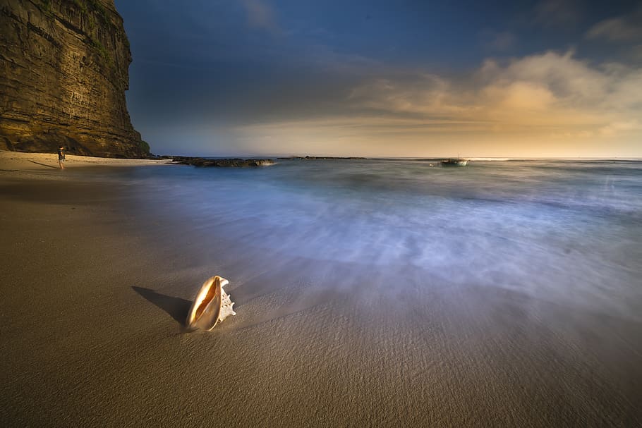 Muschelschale, Strand, hinterleuchtet, Wolken, Dämmerung, Abend, Horizont, Langzeitbelichtung, Natur, Ozean, draußen, Sand, szenisch, Meer, seelandschaft, Schale, Himmel, Sommer-, Sonnenaufgang, Sonnenuntergang, Reise, tropisch, Wasser, Szenen - Natur, Schönheit in der Natur, wolke - himmel, Ruhe, ruhige Szene, keine Leute, Land, Nicht-städtische Szene, Horizont über Wasser, Tierthemen, Tier, Wirbeltier, Rock, 5K